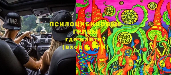 mix Белокуриха