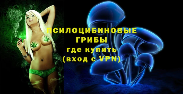 ALPHA PVP Богородицк